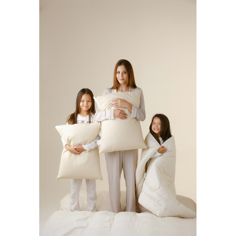 Oreiller standard en laine moyenne merino