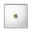 Constellation Mirror
