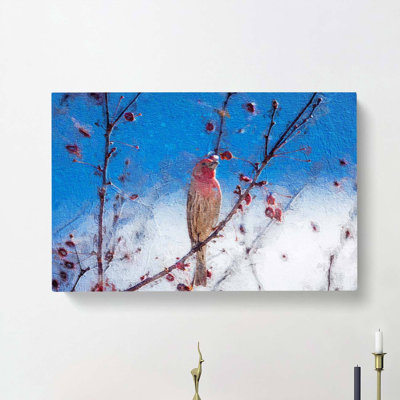 House Finch Bird - Wrapped Canvas