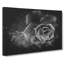 Succulent Plant - Wrapped Canvas-56642925