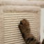 Grand arbre à chat de 81 po avec poteaux à griffer, condos pour chat, lits, beige