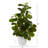 Peperomia Artificial Plant in Decorative Planter