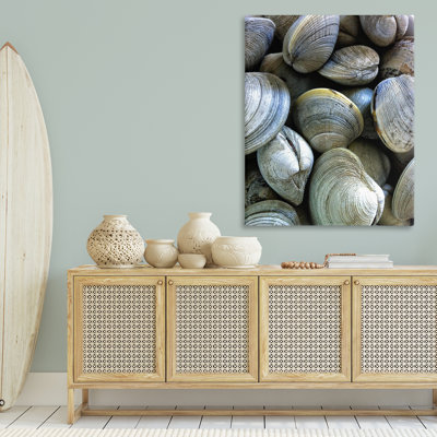 Maritime Clams Pile Canvas Wall Art by Graffi*tee Studios