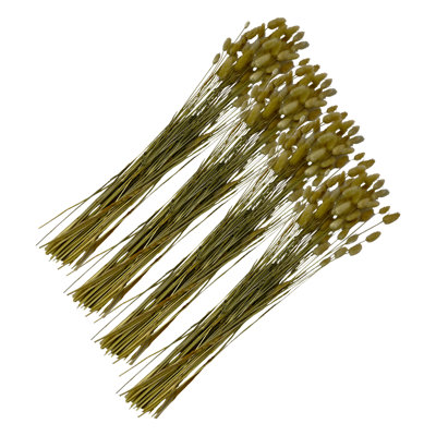 Dried Preserved Bunny Tails Grass Bouquets