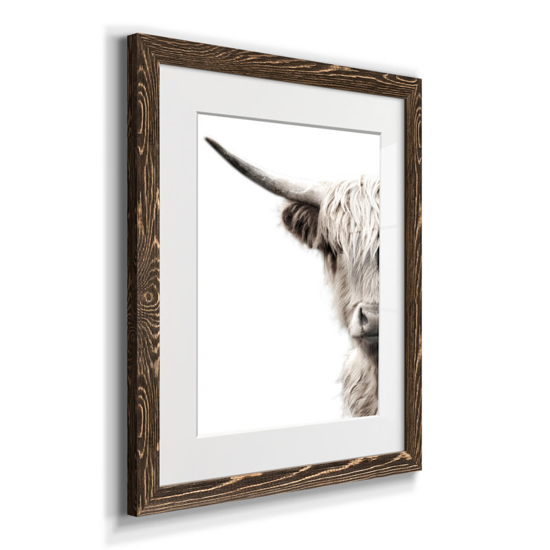 Bétail des Highlands - reproduction de photo, H 20 po x l 17 po x P 1 po, Papier, cadre noyer, Blanc
