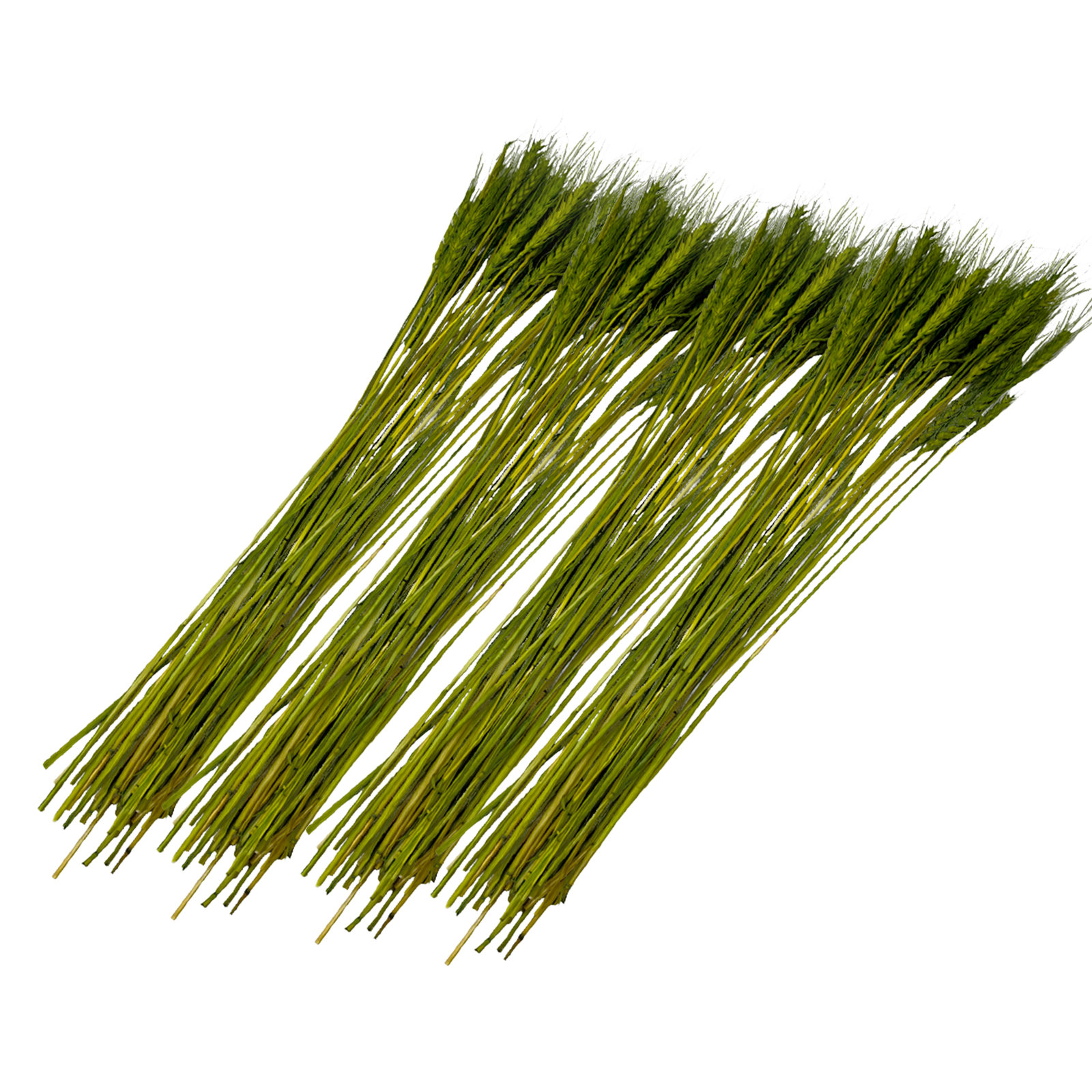 Dried Preserved wheat Bouquet, Yellow/Green