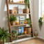 Ensemble de 3 faux livres Classic Art