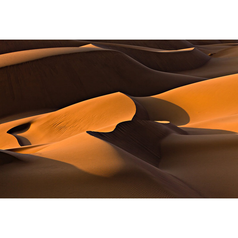 Wrapped Canvas Print, 76.2 cm H x 50.8 cm W