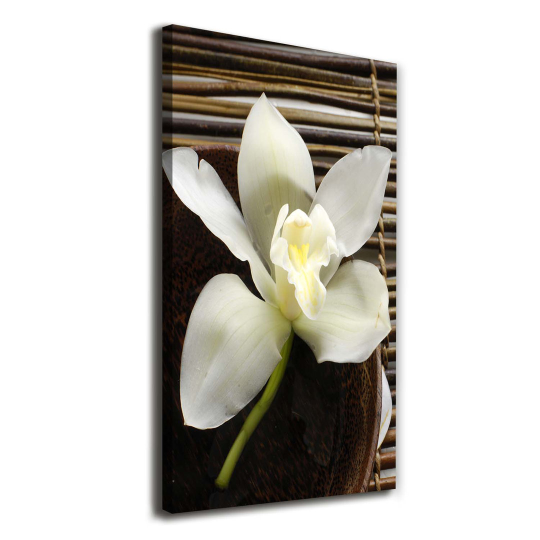 Orchidee - Kunstdrucke auf Leinwand - Wrapped Canvas