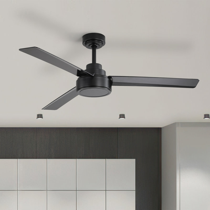 Forgan 52'' Ceiling Fan, Black
