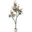 183cm Plant