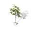 Décoration de plancher de plante simulée-110824965