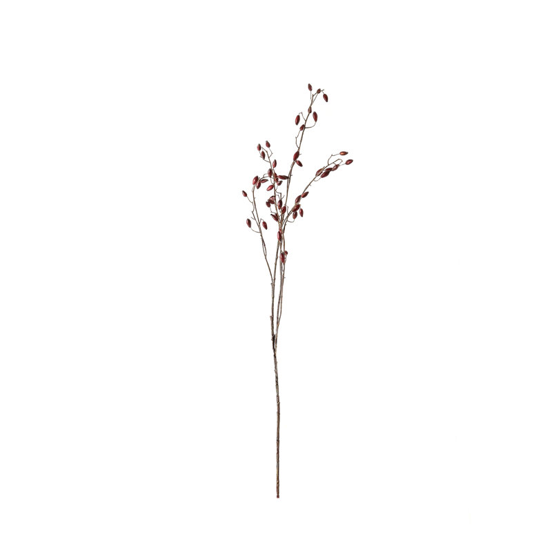 Rosehip Arrangement