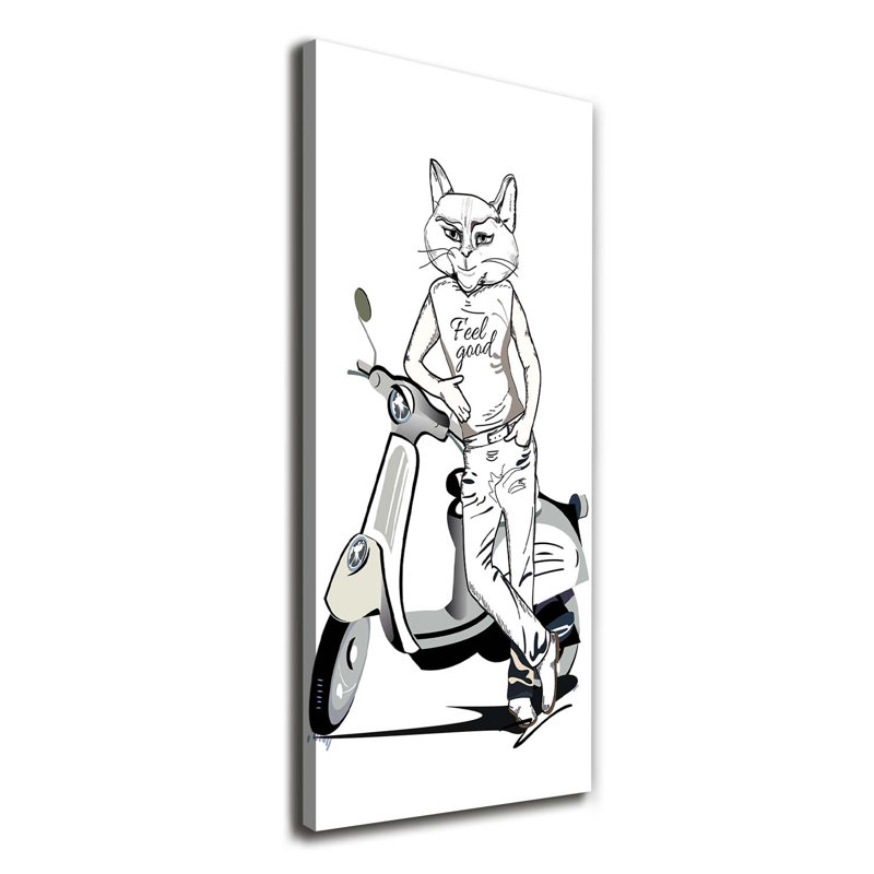 Cat Male - Wrapped Canvas Print