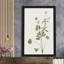 Wispy Botanical II - Peinture-2022620477-2022620486