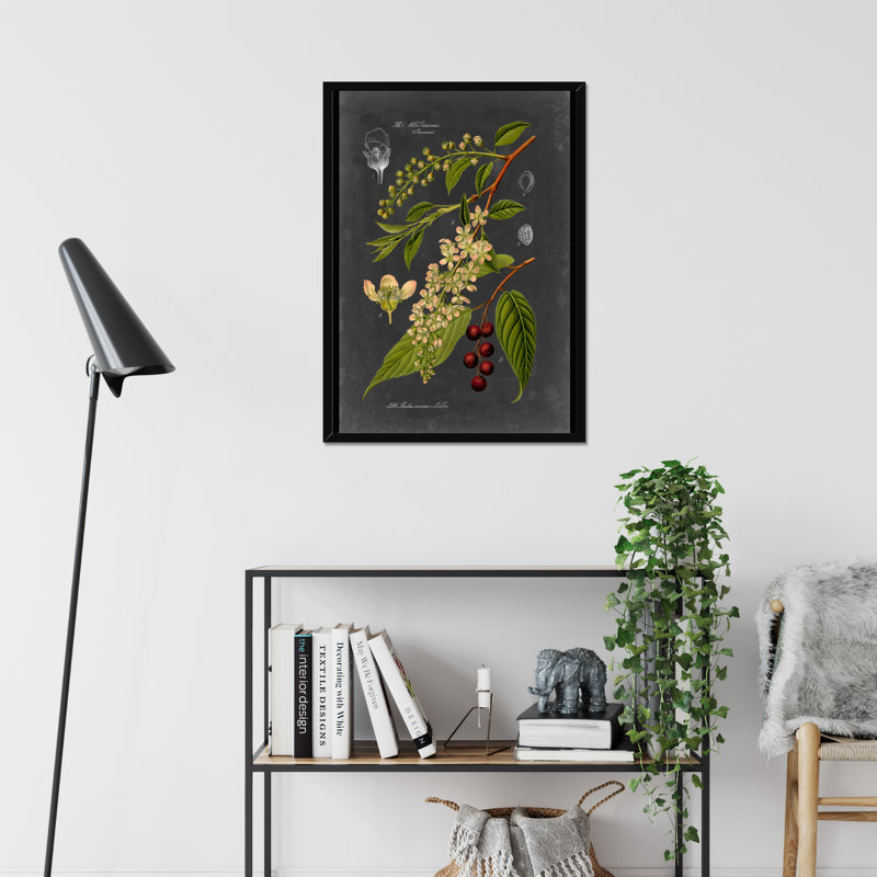 Midnight Botanical II by Vision Studio - Print, 50cm H x 34cm W, Black Framed Paper Print