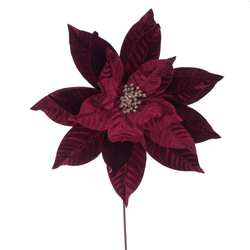 Tiges de poinsettia Clementina, Bourgogne