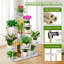 Plant Stand - Set of 6