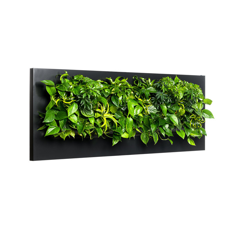 Rectangle Planter, Charcoal