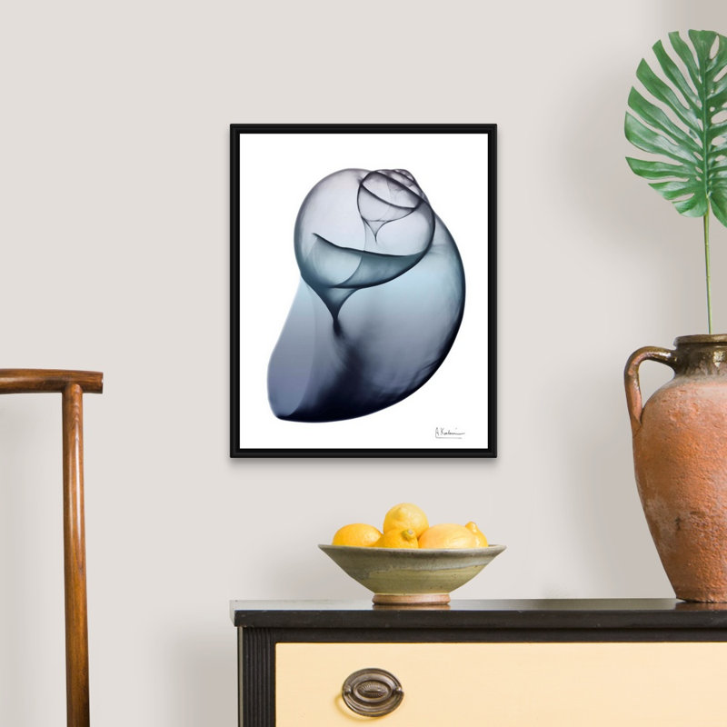 "Lavender Snail 3" par Albert Koetsier, reproduction d’art sur toile, Cadre noir, H 22 po x l 18 po x P 1,75 po
