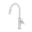 Jeter Single Handle Pull Down Kitchen Faucet-138820318