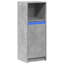Shanerica Accent Cabinet-588309473