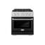 ZLINE 30" Paramount Dual Fuel DuraSnow® Range w/ 4 Burner Cooktop & Black Matte Door (SDRS-BLM-30)