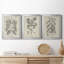 Antique Black and White Botanical VII - Ensemble de 3 peintures sur toile encadrées-1460172374-1460172372