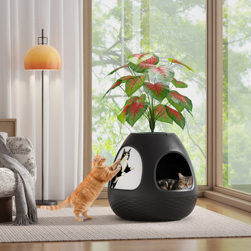 Maison pour chat chauffée avec purificateur d'air, Noir