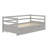 Wood Daybed Frame With Trundle-288601484
