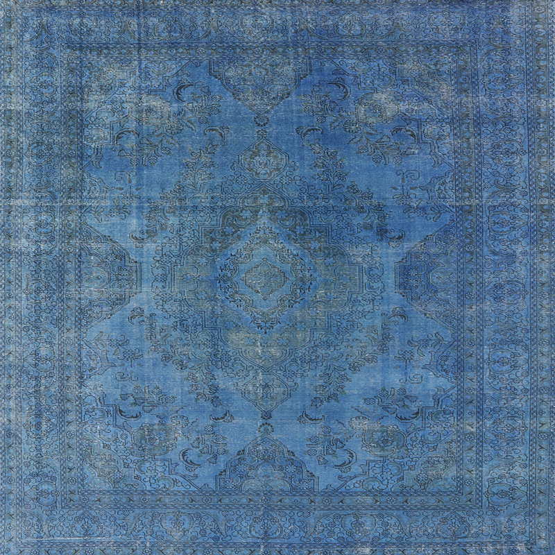 Nathanson Oriental Indoor Rug, Square 4'