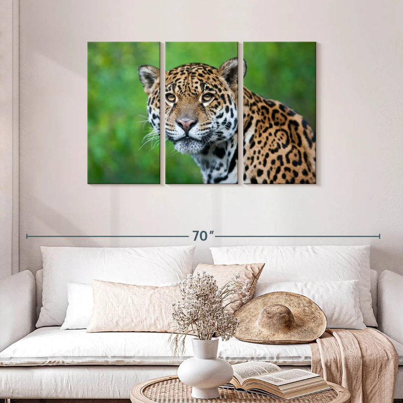 Jaguar Gaze