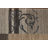 Wool Oriental Indoor Rug