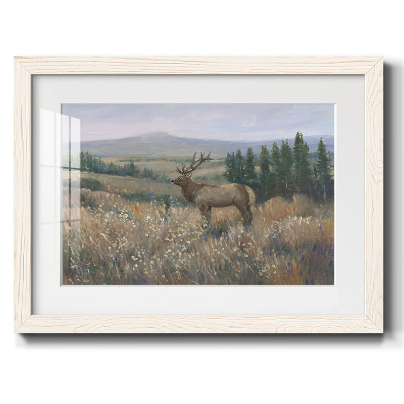 Western Wildlife II, reproduction d'art encadrée, Blanc, H 22 po x l 32 po x P 1,5 po