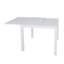 Table de salle à manger extensible-285172128