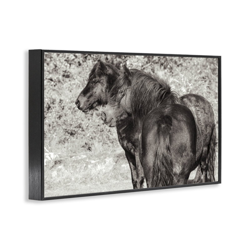 «Dartmoor Poneys Duo», estampe numérique de Deborah Revell, H 12 po x l 18 po, Giclée encadrée noir minuit