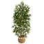 64'' Faux Bamboo Tree in Planter
