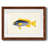 " Tropical Fish Collection V "-1469709642-1469709635