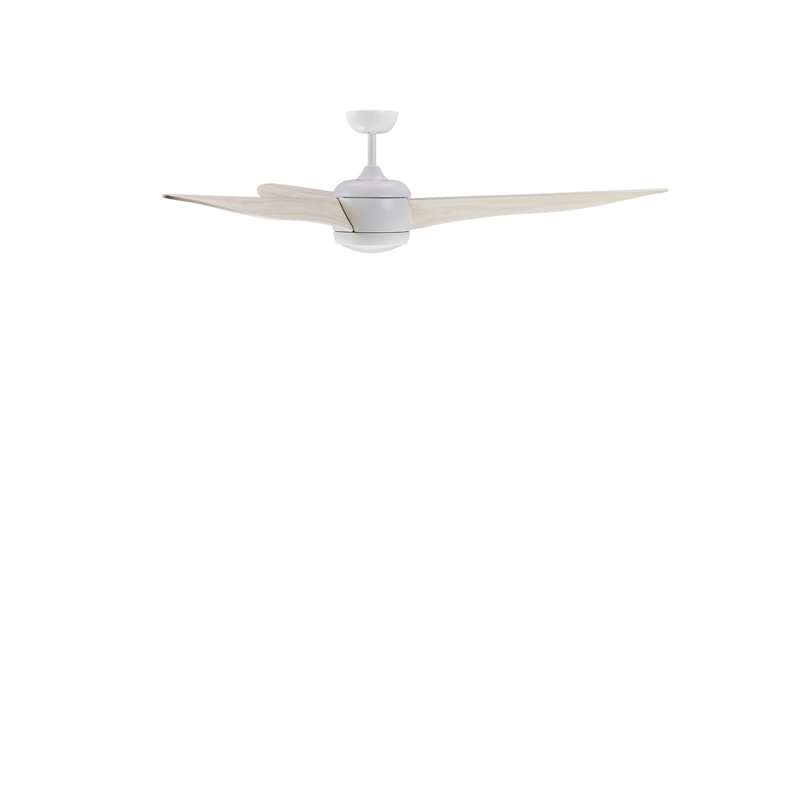Aalyha 142cm Ceiling Fan with LED Lights, White with White Oak Blades