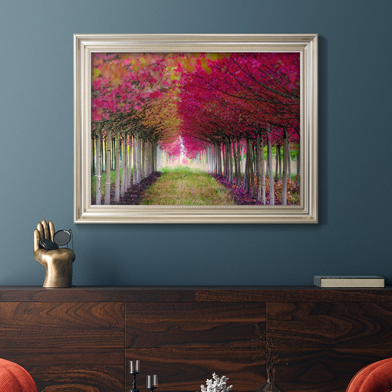 " Forest Magic " Color Photography Print, 25" W x 21" H