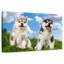 Husky Babies-1406687952