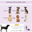 Pet Carrier with 1 Door-1215826098-1215826096