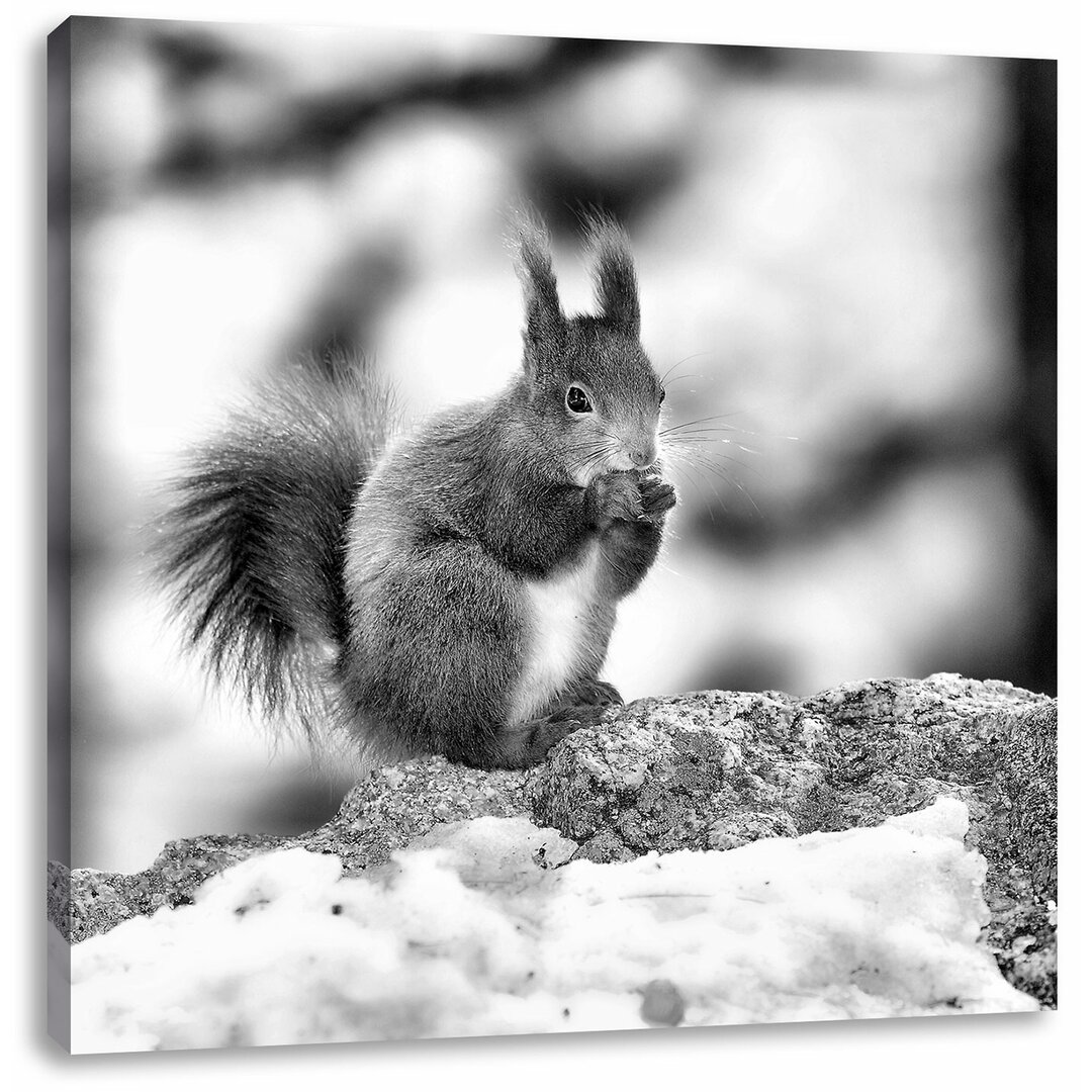 Leinwandbild Eichhörnchen im Schnee