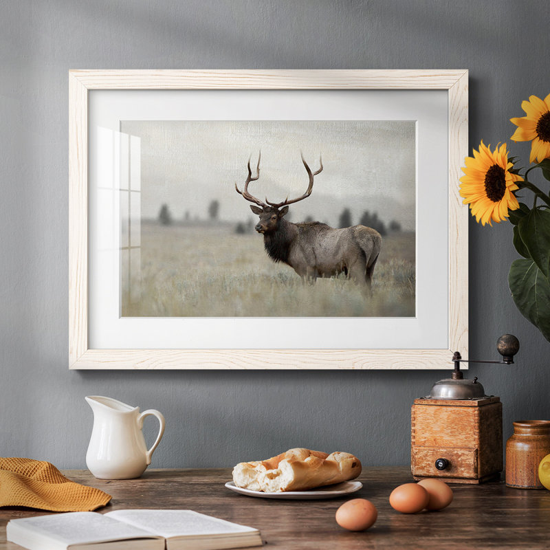 " Grand Elk " Painting Print, White
