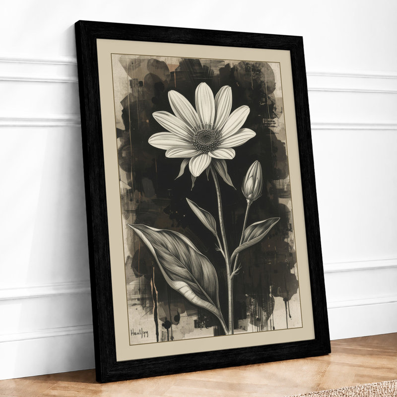 Single Daisy Bloom Botanical - Framed Print, A3 - 42.0 x 29.7 cm, Black