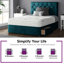 Eberhardt Divan Bed Base-95753164-95755193-95755195