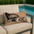 Beige tonkinois Shorthair