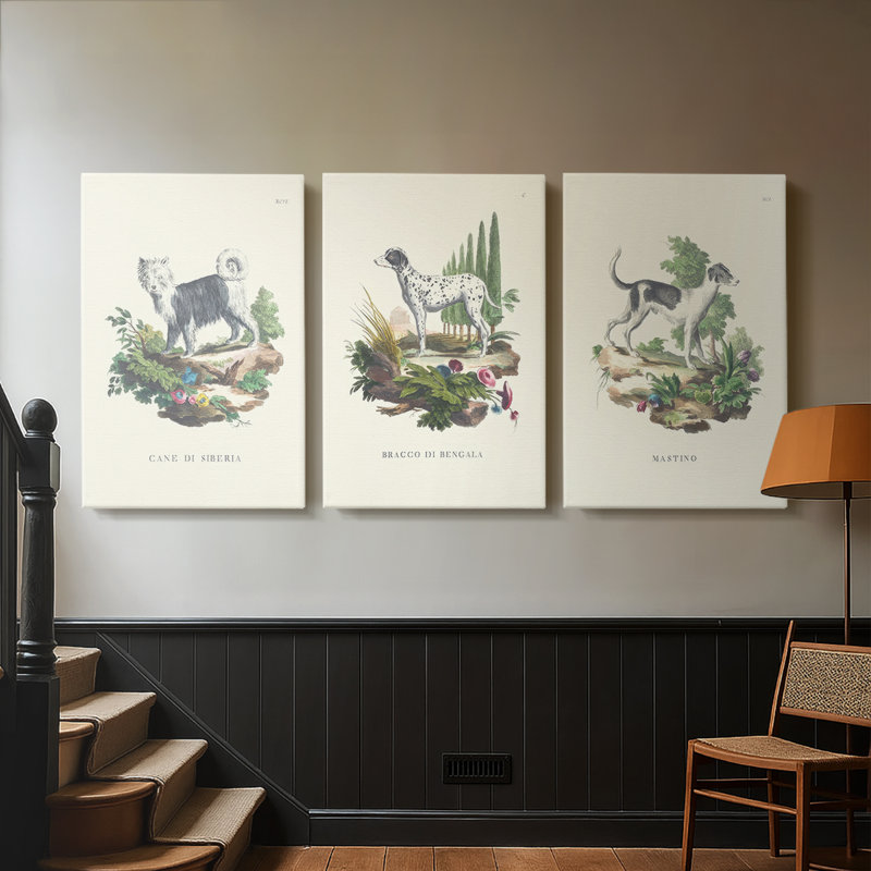 French Dogs IV - Toile tendue avec châssis sur mesure - 3 pièces, H 36 po x l 72 po