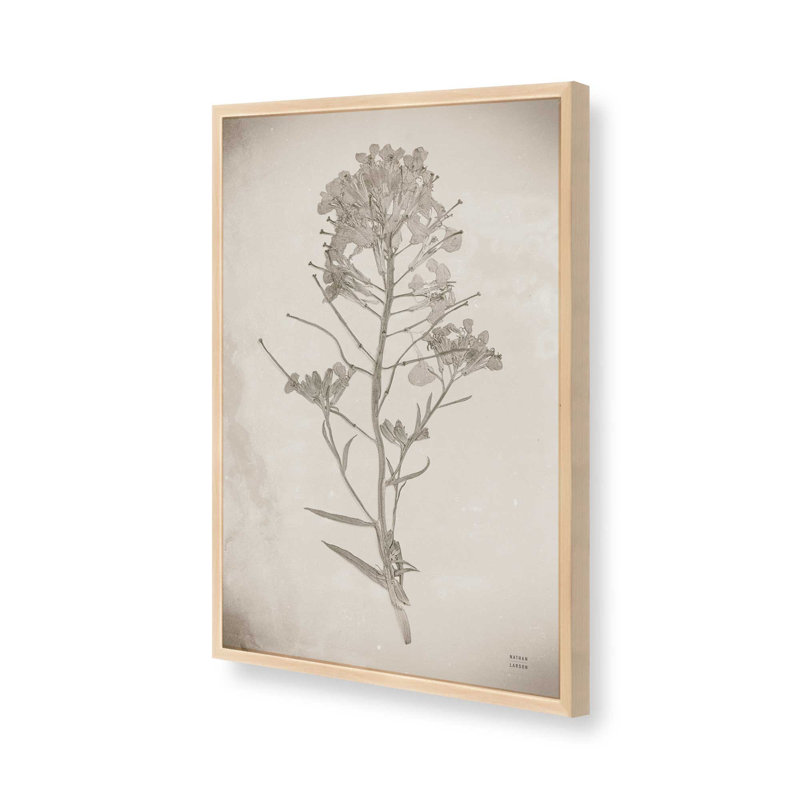 «Wildflower Journal Vintage I» par Nathan Larson, reproduction d'art, H 12 po x l 8 po, Brun clair