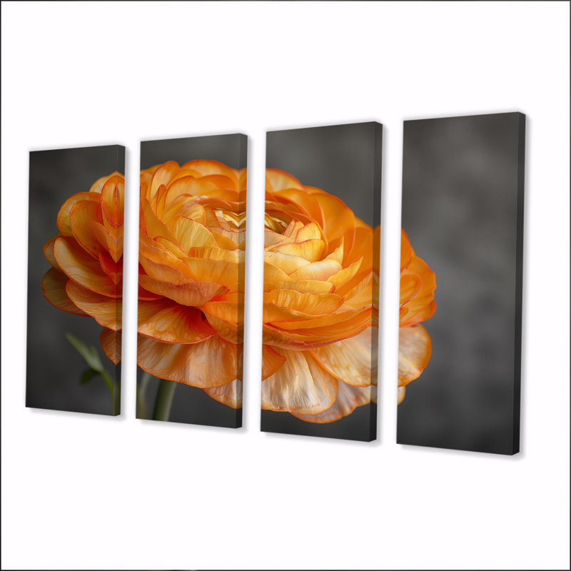 Ensemble de décorations murales orange et noir Ranunculus Bloom I - Ranunculus, H 32 po x l 64 po
